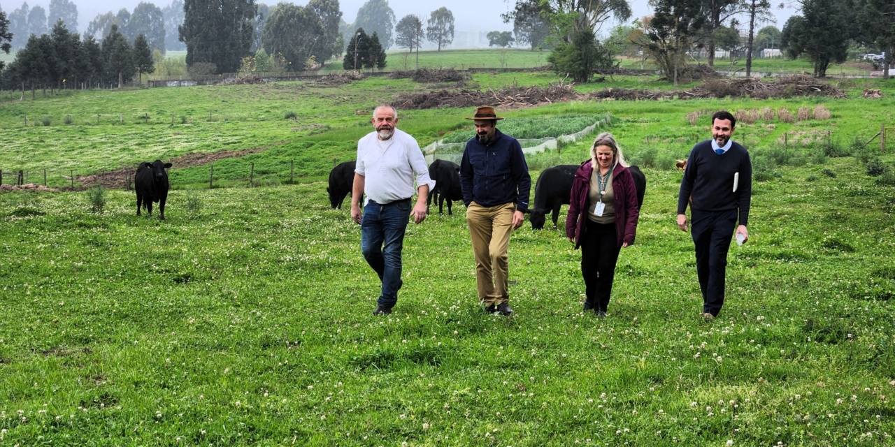 Pesquisador da Alemanha conhece trabalho da Epagri de Lages na pecuária