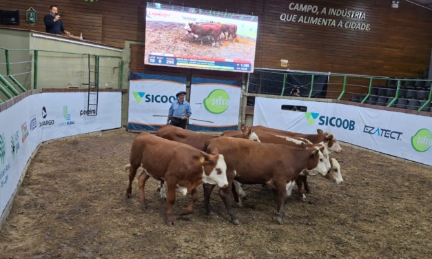 2º Leilão Agro do Bem já tem data definida para acontecer