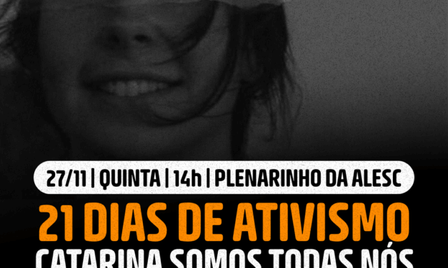 Luciane Carminatti convoca audiência pública para discutir a segurança e proteção às mulheres