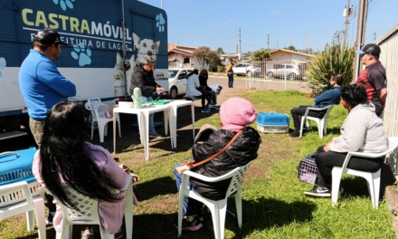 Lages dá um salto no número de castrações e adoções de cães e gatos