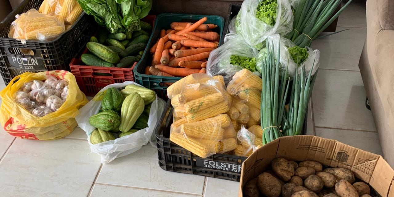 Alimentação escolar com produtos da Agricultura Familiar marca início do ano letivo em Otacílio Costa
