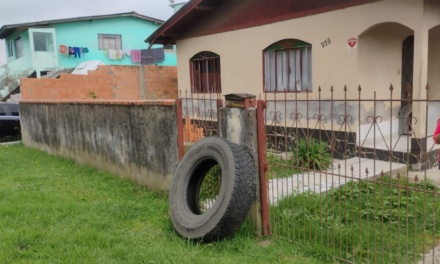 Ação de prevenção contra o Aedes aegypti percorre 11 bairros de Lages nesta sexta-feira