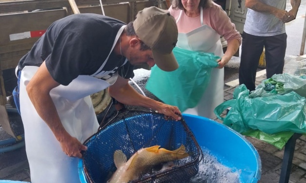 Tradicional Feira do Peixe Vivo começa a ser preparada em Lages