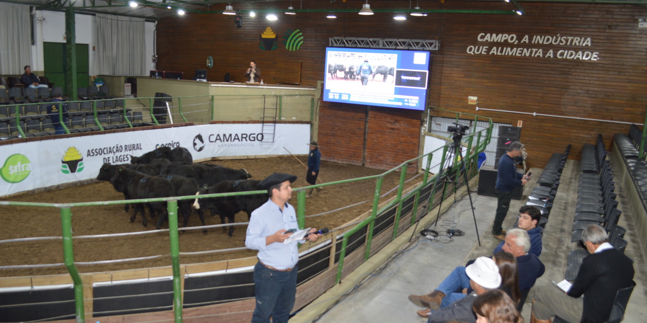 Associação e Sindicato Rural de Lages abrem temporada de leilões 2026