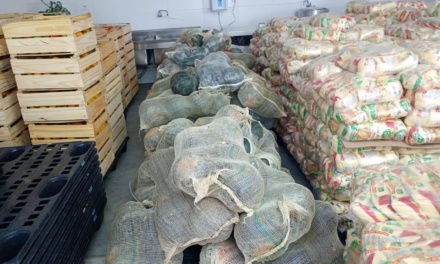Banco de Alimentos fortalece segurança alimentar no município de Lages com recebimento de 20 toneladas de alimentos da Companhia Nacional de Abastecimento