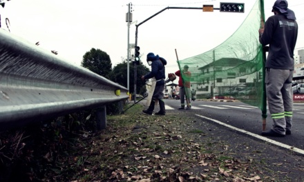 Qualidade de vida: Lages mantém ritmo de ações de limpeza e conservação urbana