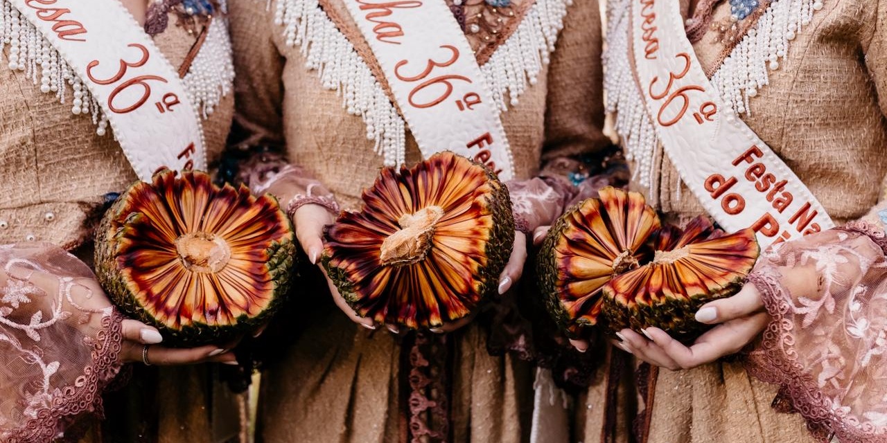 Sapecada do pinhão: O ritual que atravessa gerações