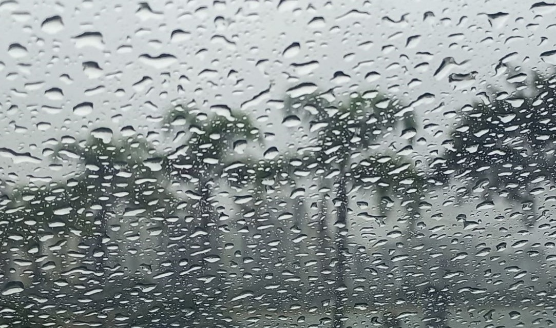 Semana começa com chuva intensa e termina com temperaturas amenas em Santa Catarina