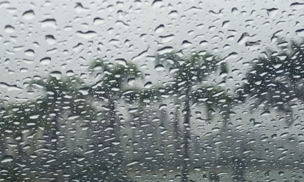 Semana começa com chuva intensa e termina com temperaturas amenas em Santa Catarina