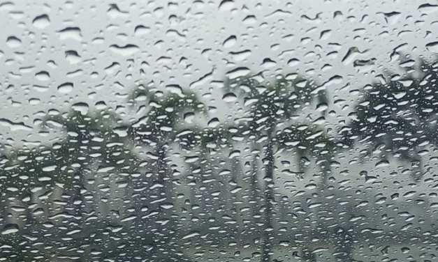 Semana começa com chuva intensa e termina com temperaturas amenas em Santa Catarina