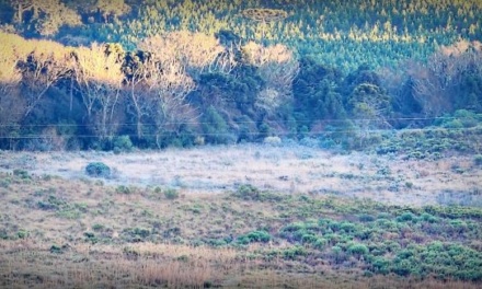 Frio intenso marca a quinta-feira e Santa Catarina registra pelo menos 25 municípios com temperaturas negativas