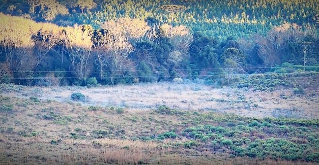 Frio intenso marca a quinta-feira e Santa Catarina registra pelo menos 25 municípios com temperaturas negativas