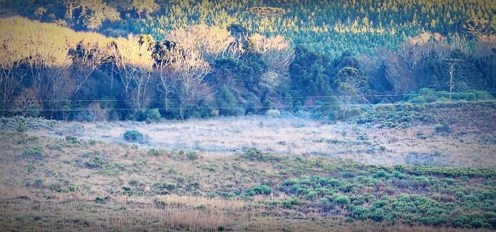 Frio intenso marca a quinta-feira e Santa Catarina registra pelo menos 25 municípios com temperaturas negativas