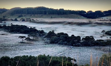 Serra Catarinense registra o dia mais frio do ano com mínimas de até -7°C e geada ampla