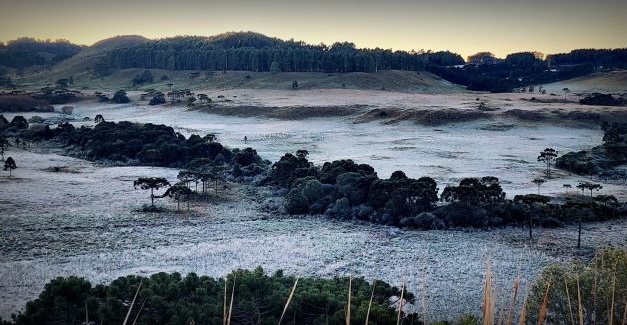 Serra Catarinense registra o dia mais frio do ano com mínimas de até -7°C e geada ampla