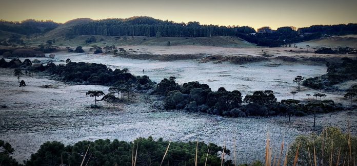 Serra Catarinense registra o dia mais frio do ano com mínimas de até -7°C e geada ampla