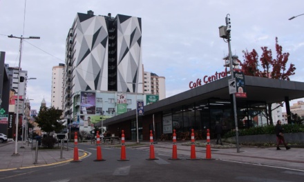 36ª Festa Nacional do Pinhão: Montagem do Recanto do Pinhão começa no Centro de Lages