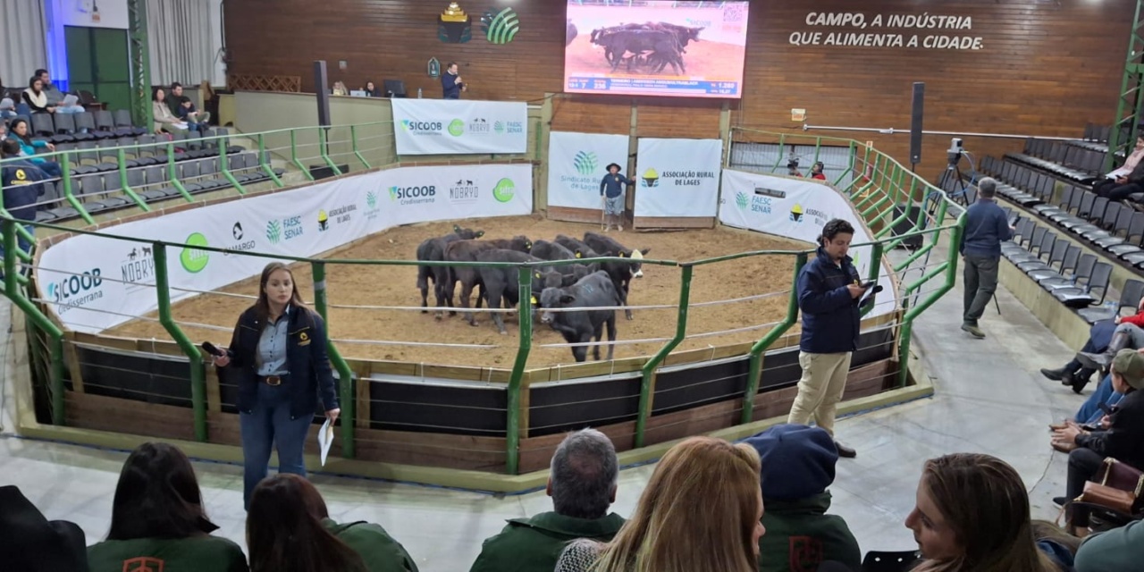 Feira do Terneiro e da Terneira encerra segunda etapa com boa valorização dos animais